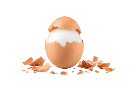 A cracked egg with its shell in fragments around it